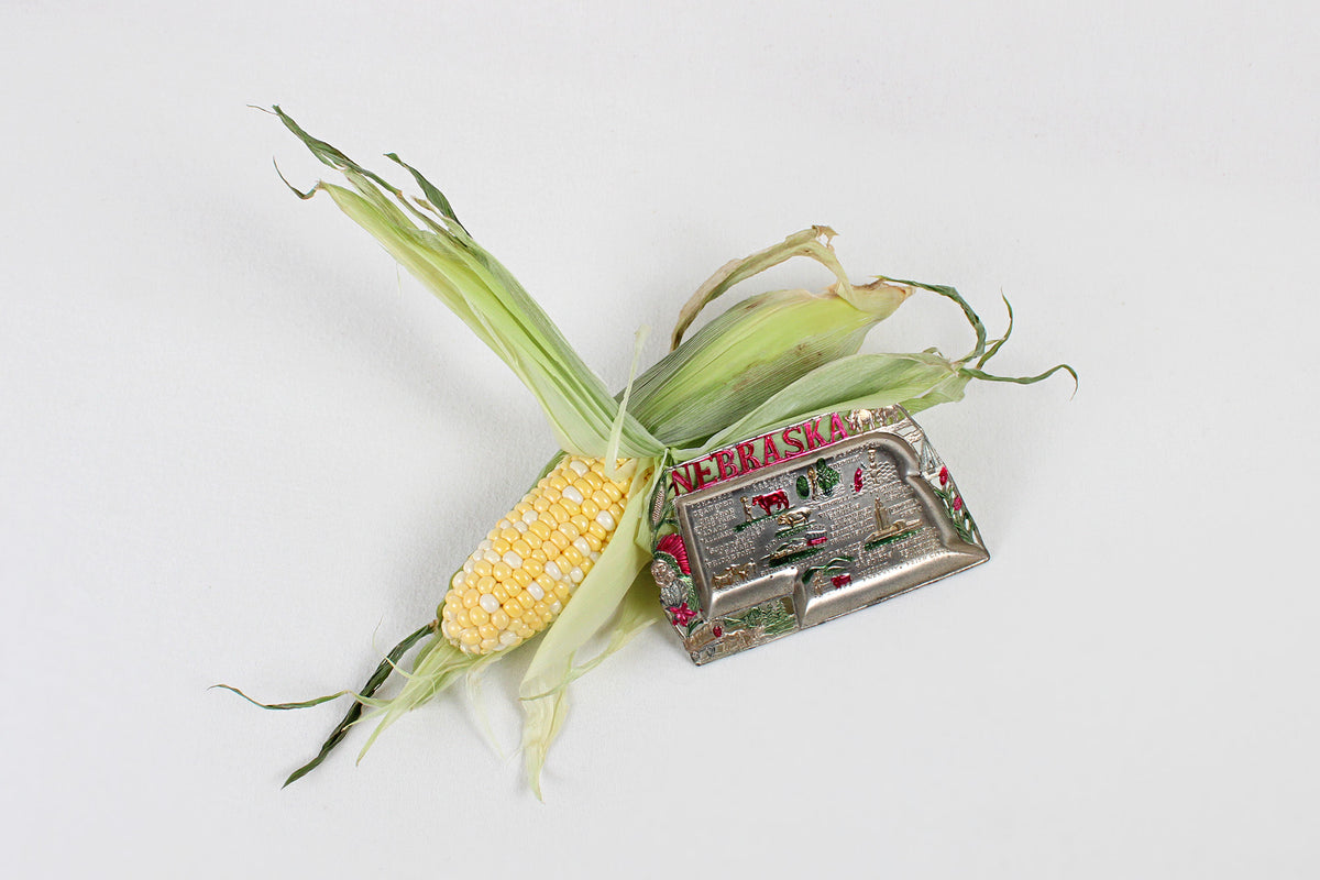 Nebraska Small Metal Tray Souvenir