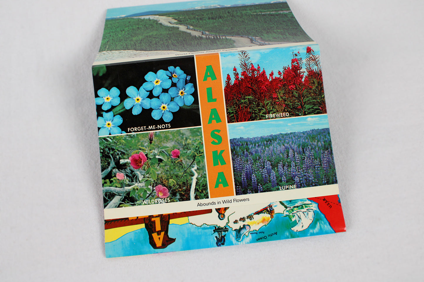 Scenic Alaska Deluxe Souvenir Folder / Accordion Postcard Set