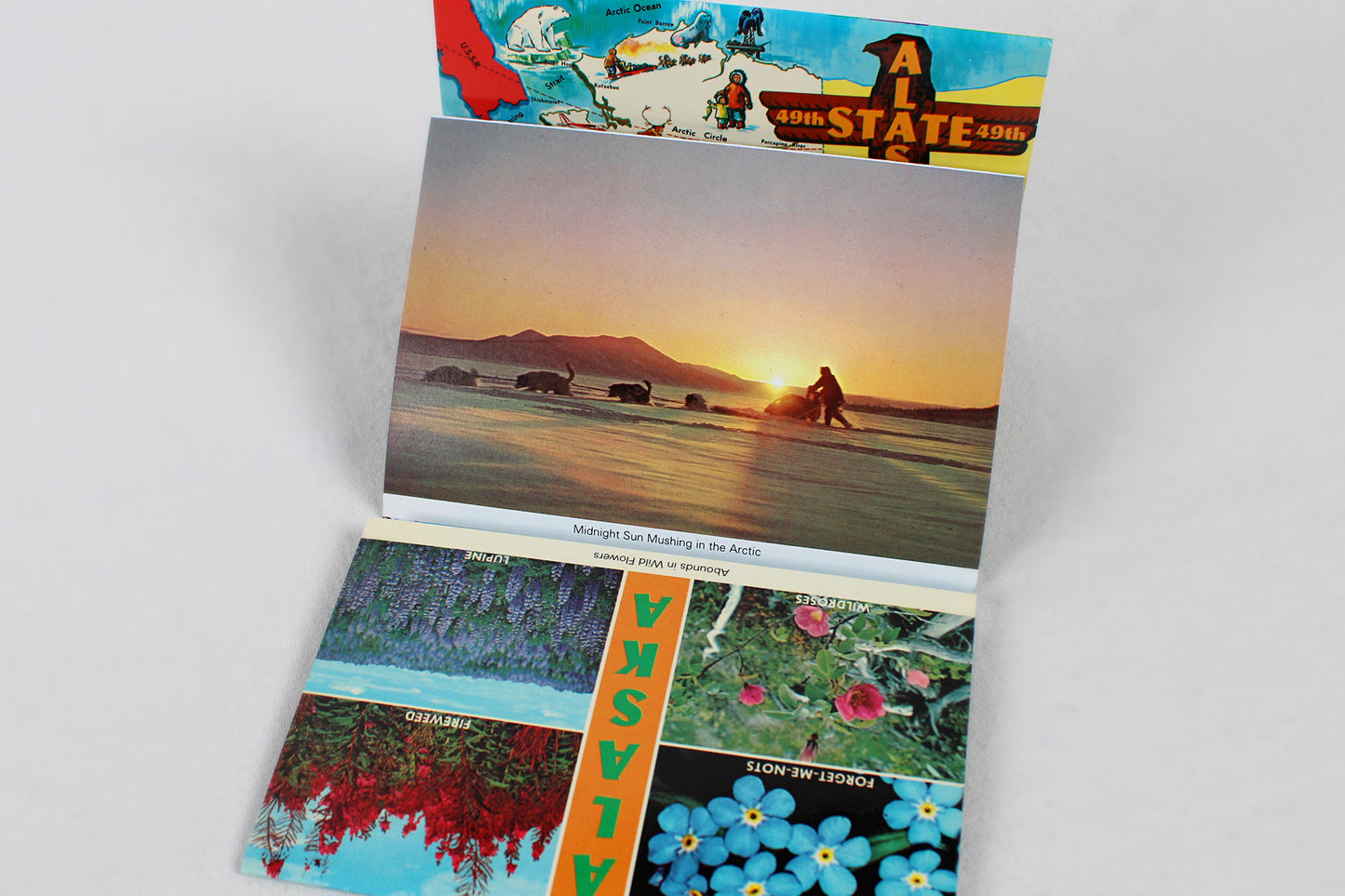 Scenic Alaska Deluxe Souvenir Folder / Accordion Postcard Set