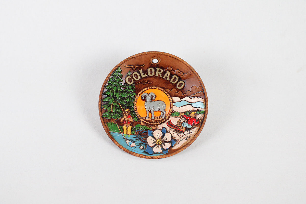 Colorado 3D Souvenir Hand Painted Wall Plate