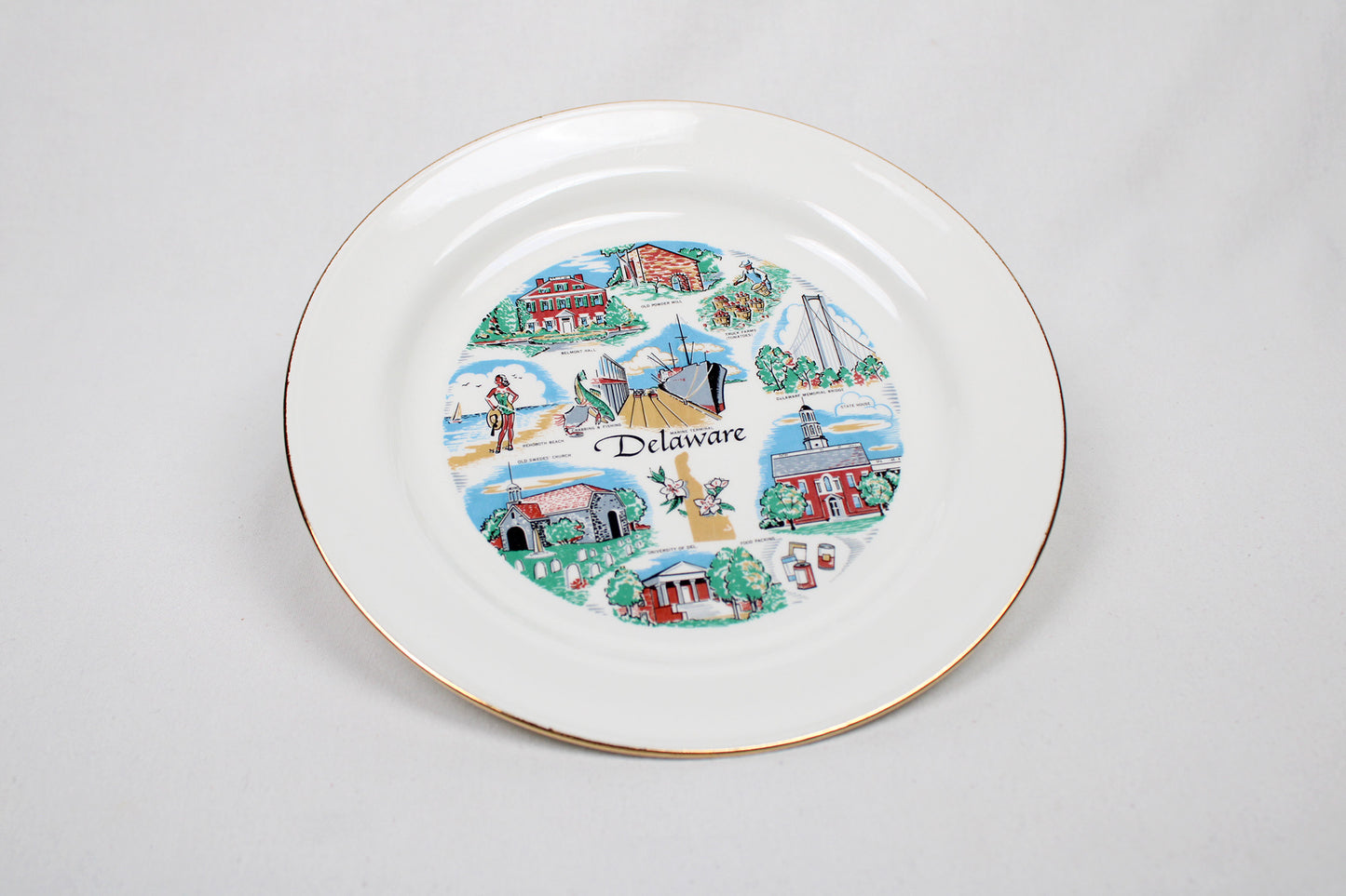 Delaware State Souvenir China Plate
