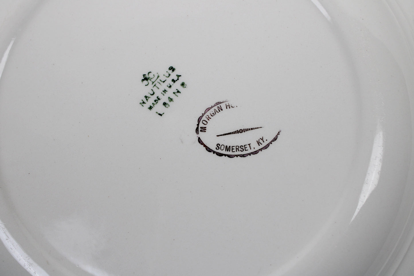 Delaware State Souvenir China Plate