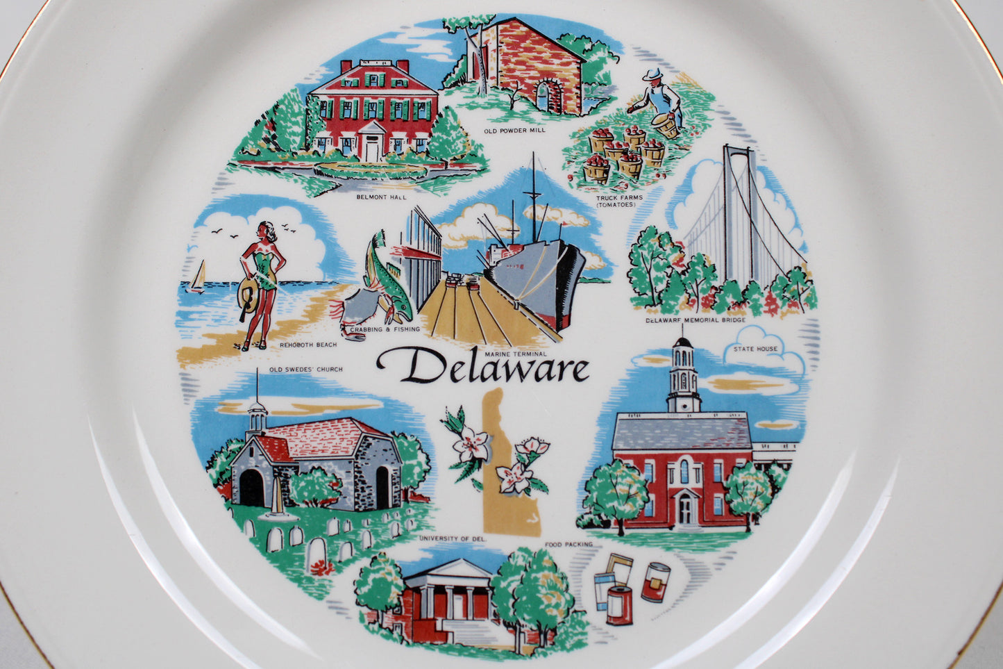 Delaware State Souvenir China Plate