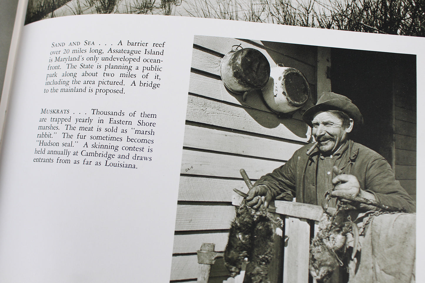 The Face of Maryland, by A. Aubrey Bodine