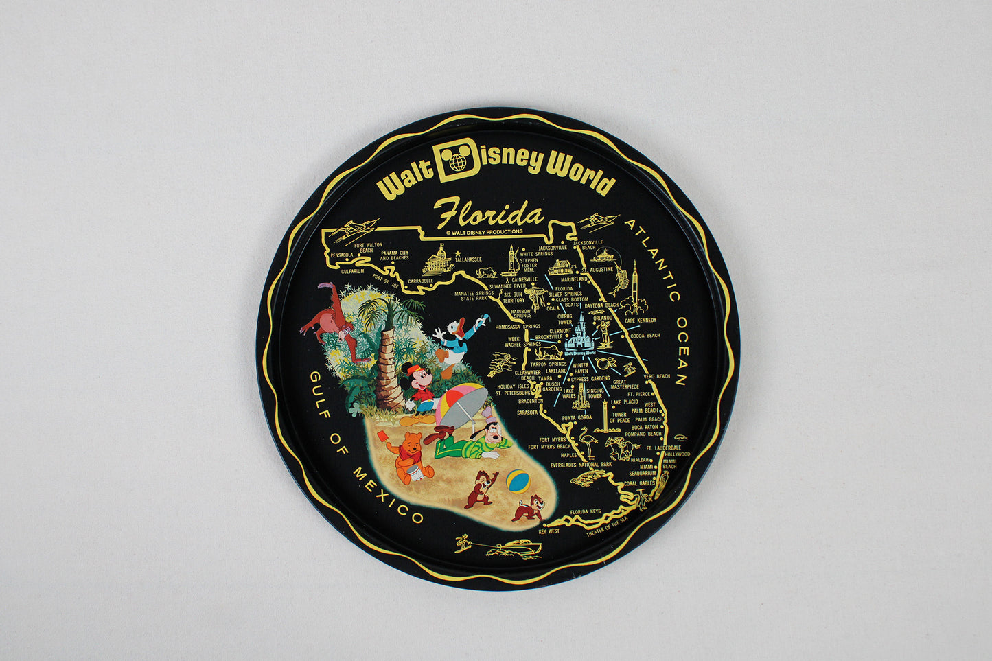 Florida Walt Disney World Souvenir Metal Serving Tray
