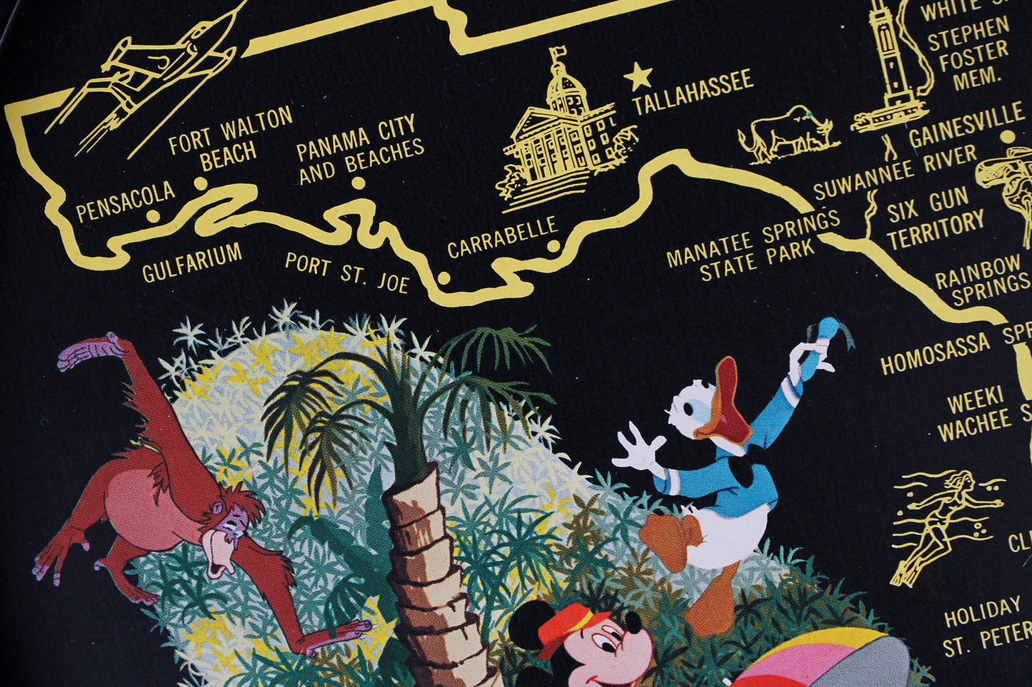 Florida Walt Disney World Souvenir Metal Serving Tray