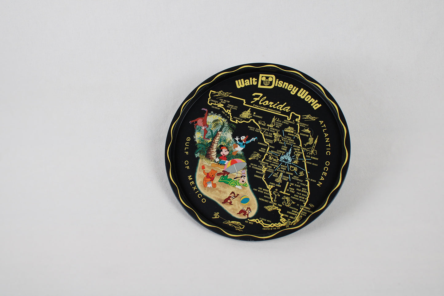 Florida Walt Disney World Souvenir Metal Serving Tray