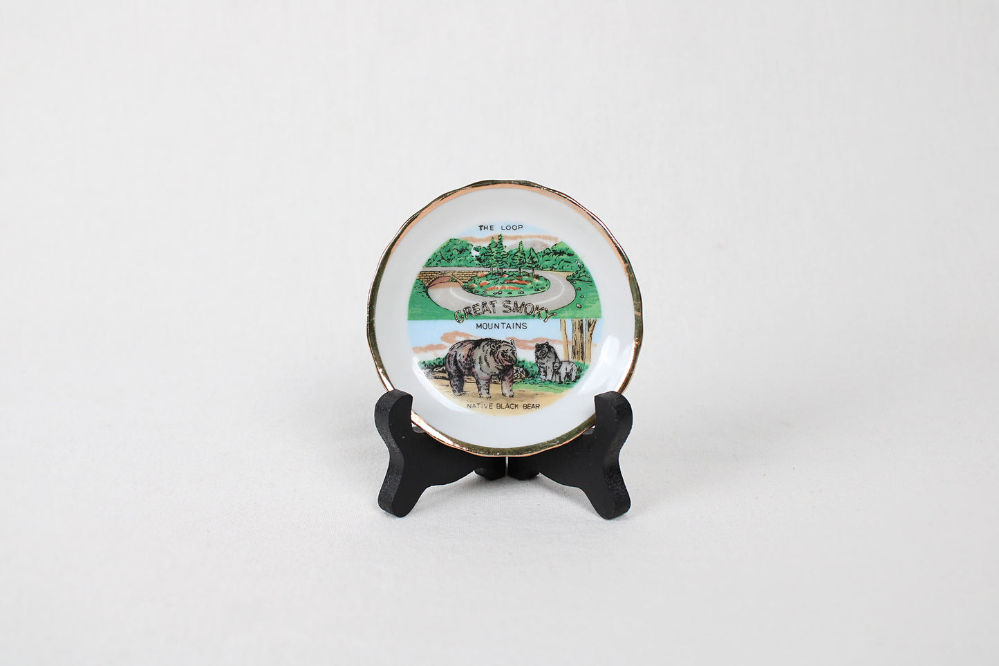Great Smoky Mountains Small Souvenir Plate