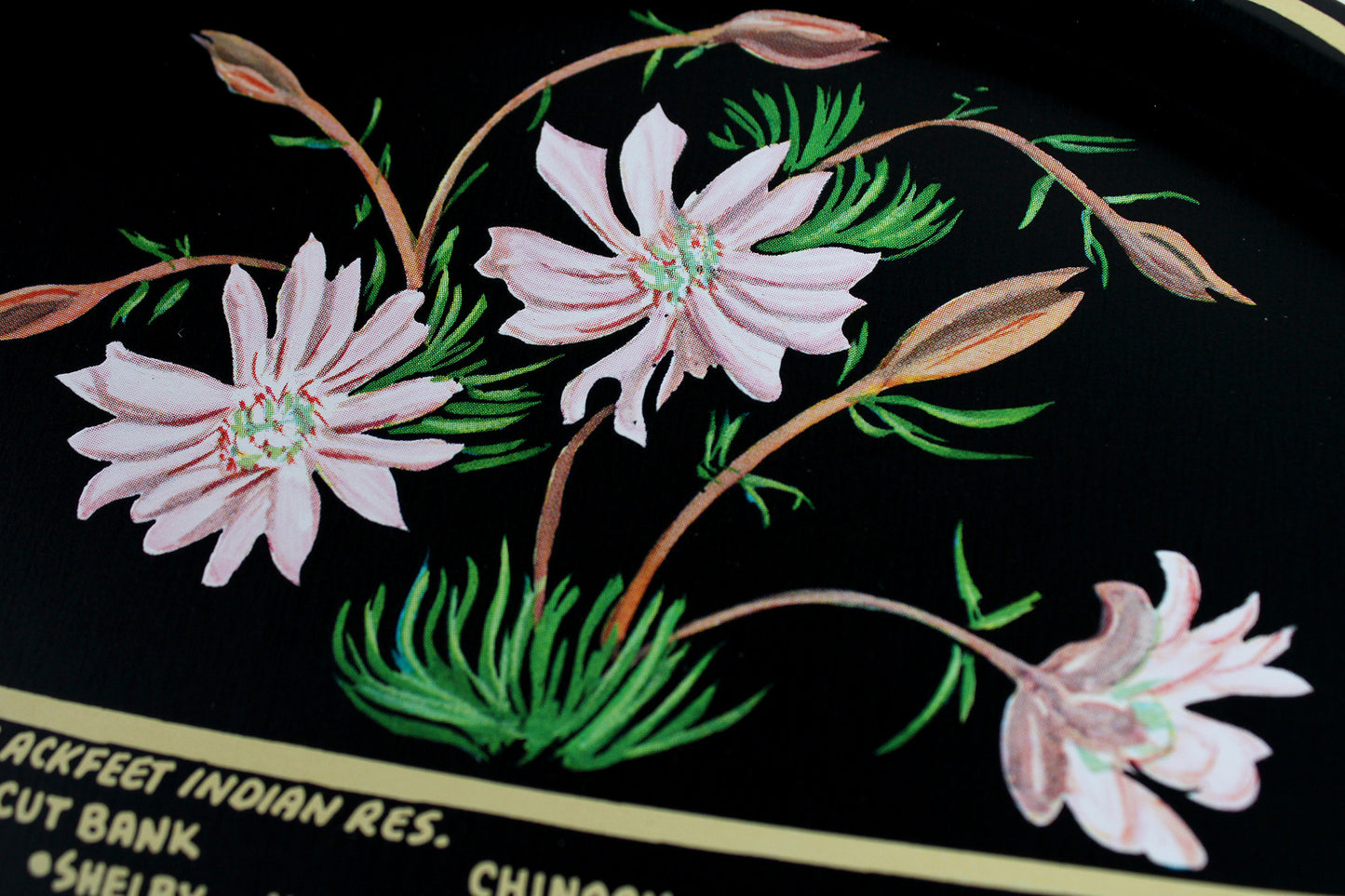 Montana Souvenir Metal Serving Tray