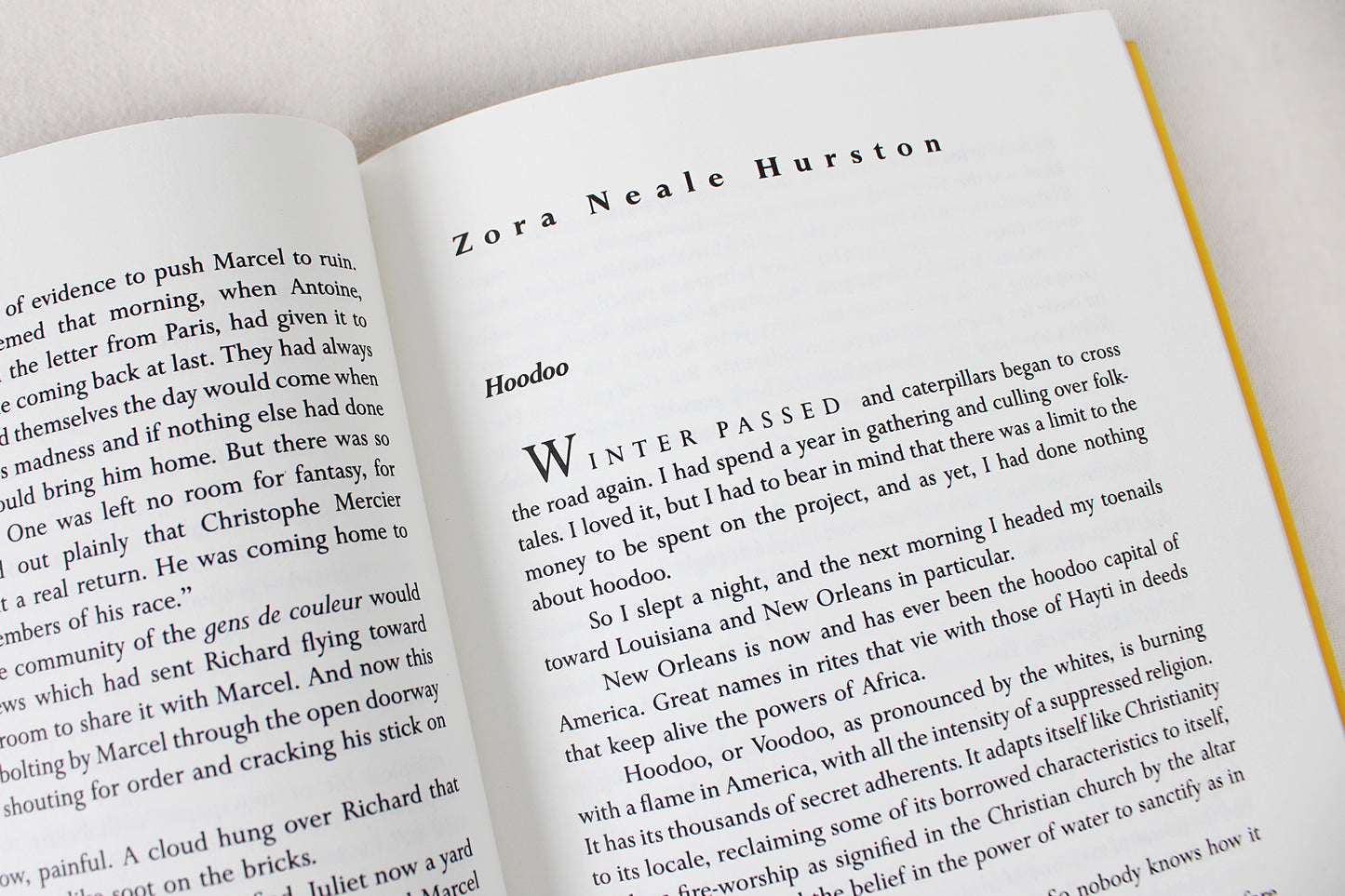 New Orleans Stories, Great Writers on the City