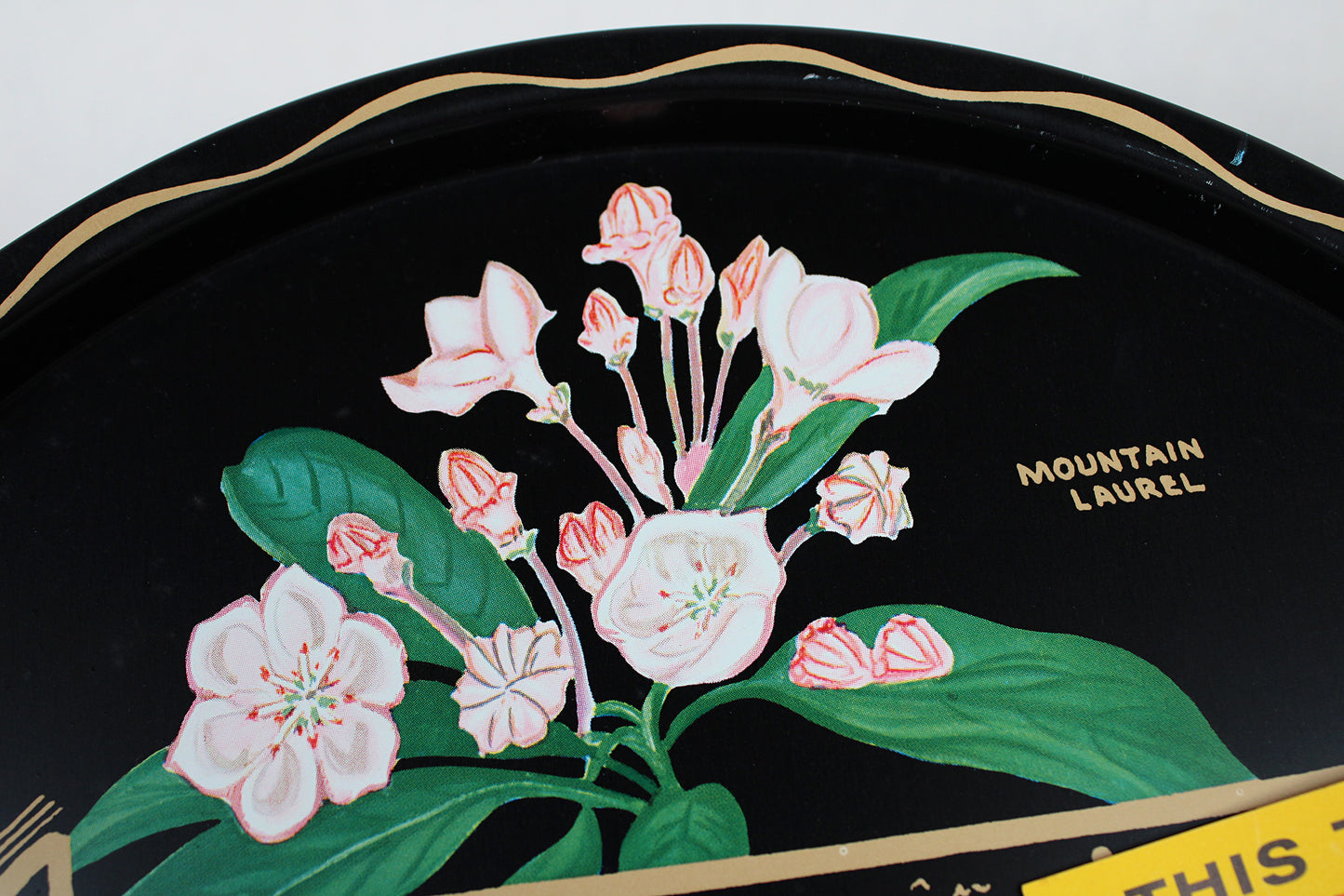 Pennsylvania Souvenir Metal Serving Tray