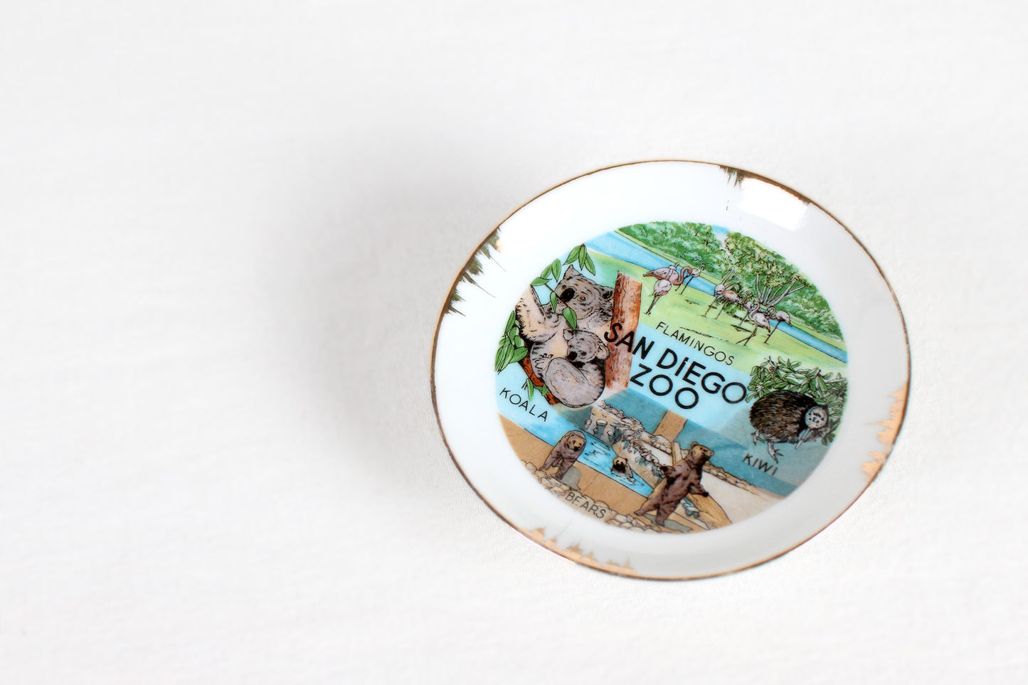 San Diego Zoo Small Souvenir Plate