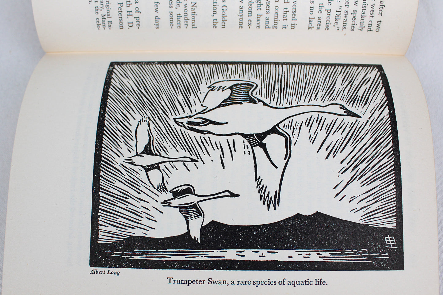 The Story of Man in Yellowstone