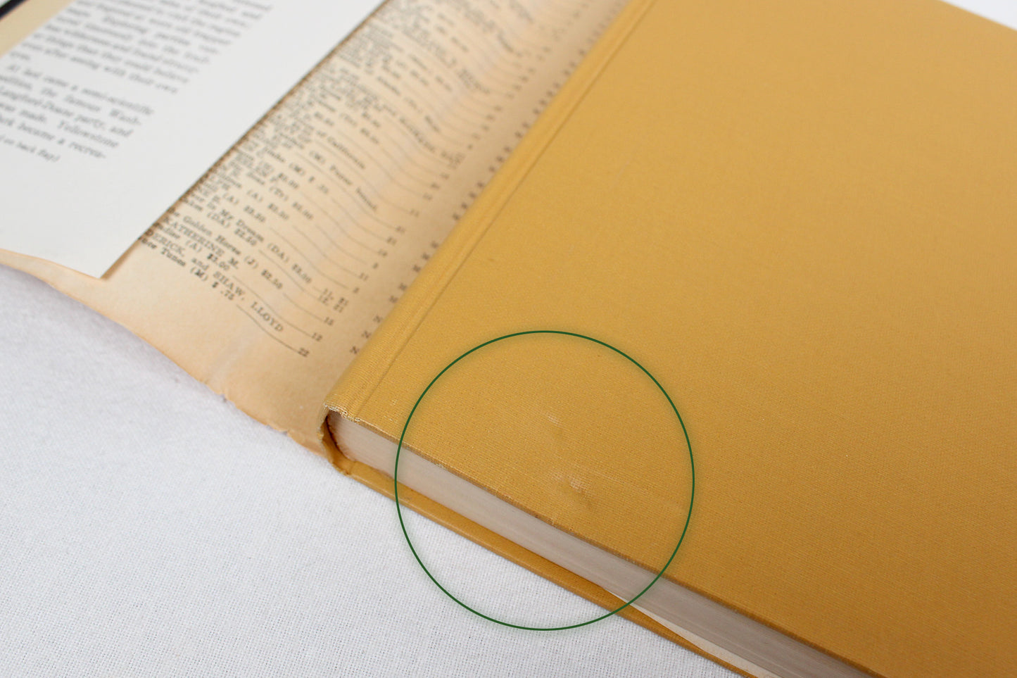 The Story of Man in Yellowstone