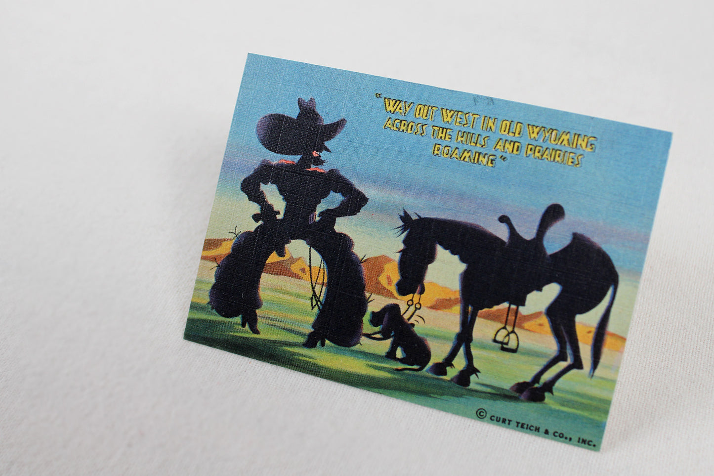 “Wonderful Wyoming” Souvenir View 20 Card Deck Mailer