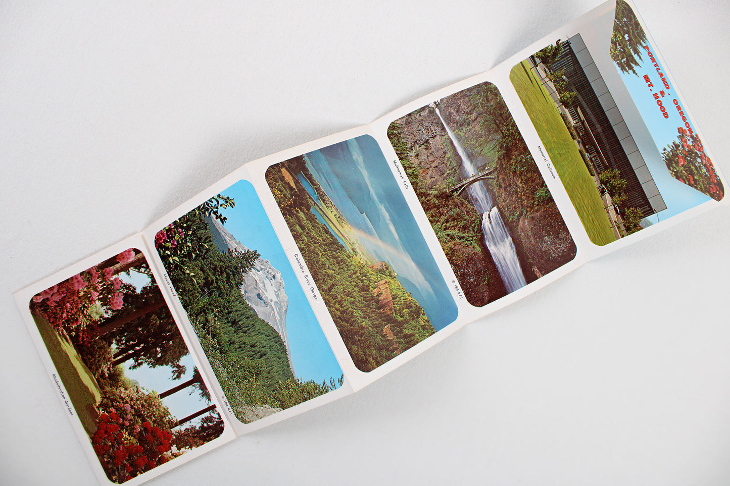 Pacific Northwest Coastal Discovery VIP (Vintage Itinerary Pack)