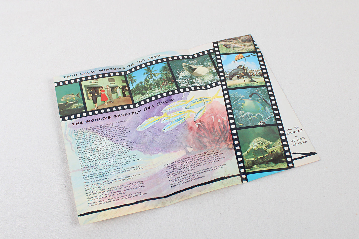 Huggin’ The Coast: South Atlantic Ramble Vintage Itinerary Pack