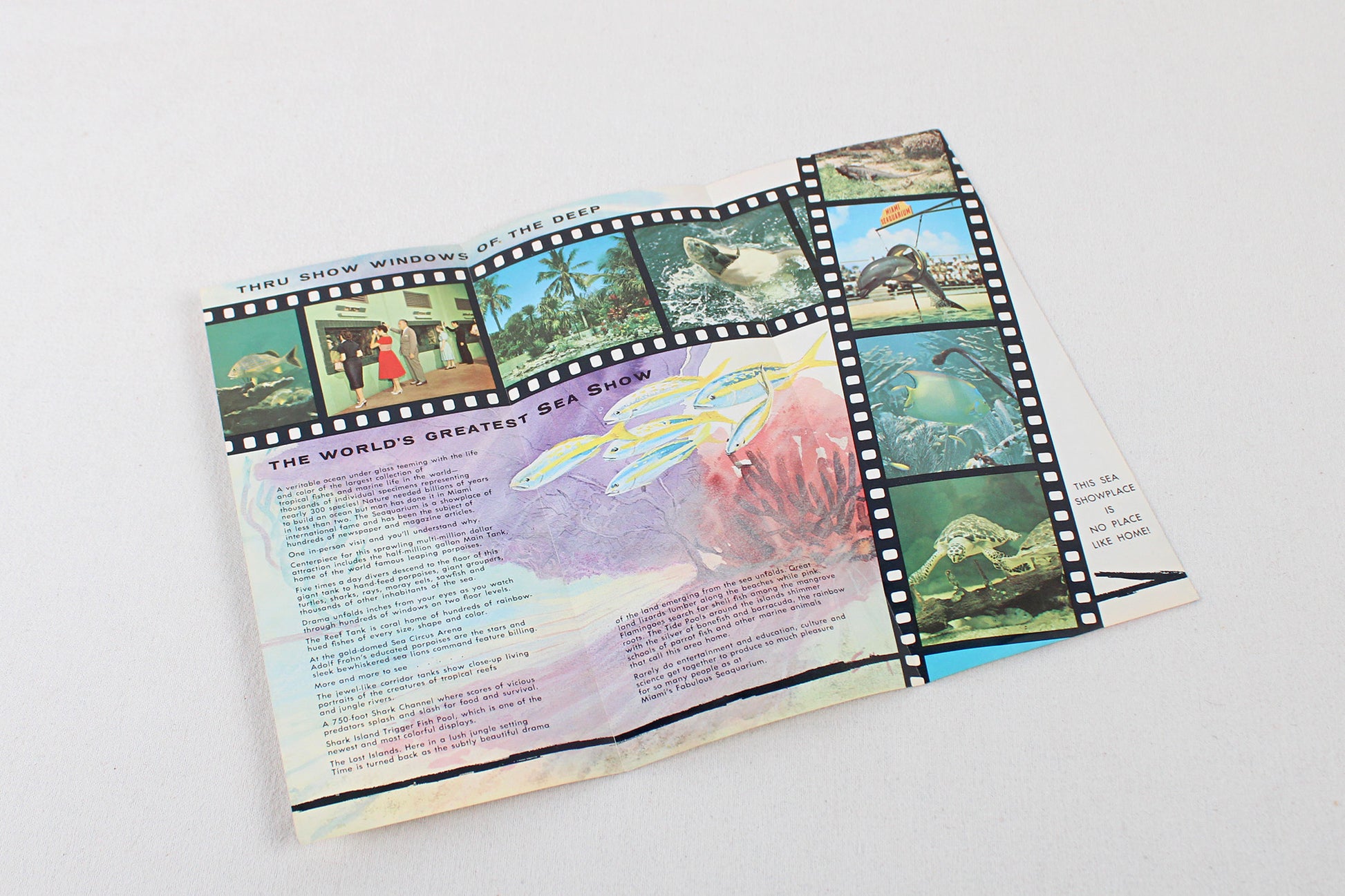 Huggin’ The Coast: South Atlantic Ramble Vintage Itinerary Pack