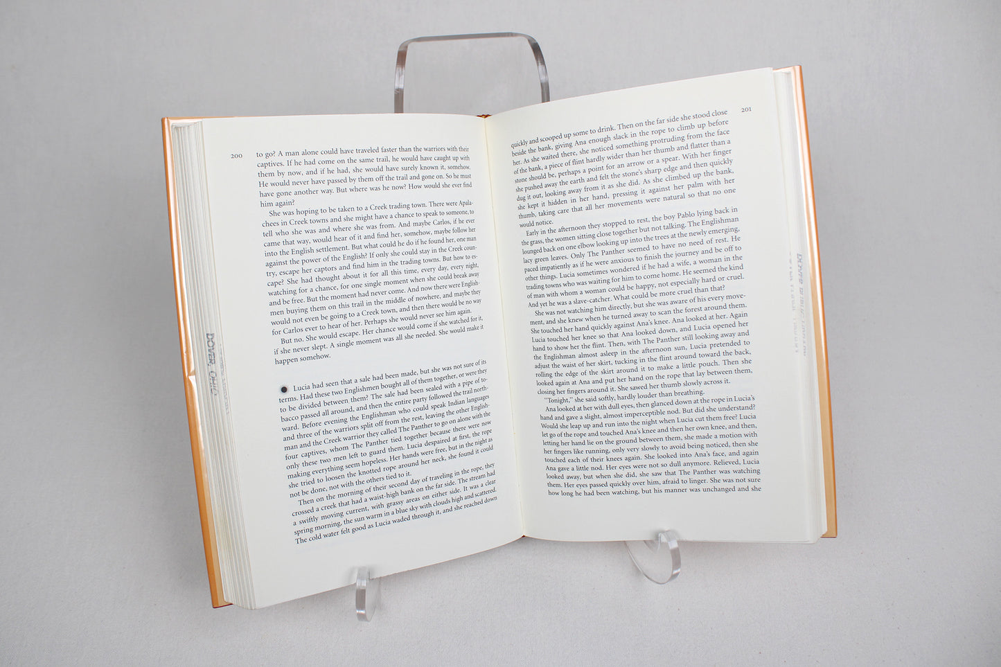 Apalachee, A Novel, by Joyce Rockwood Hudson