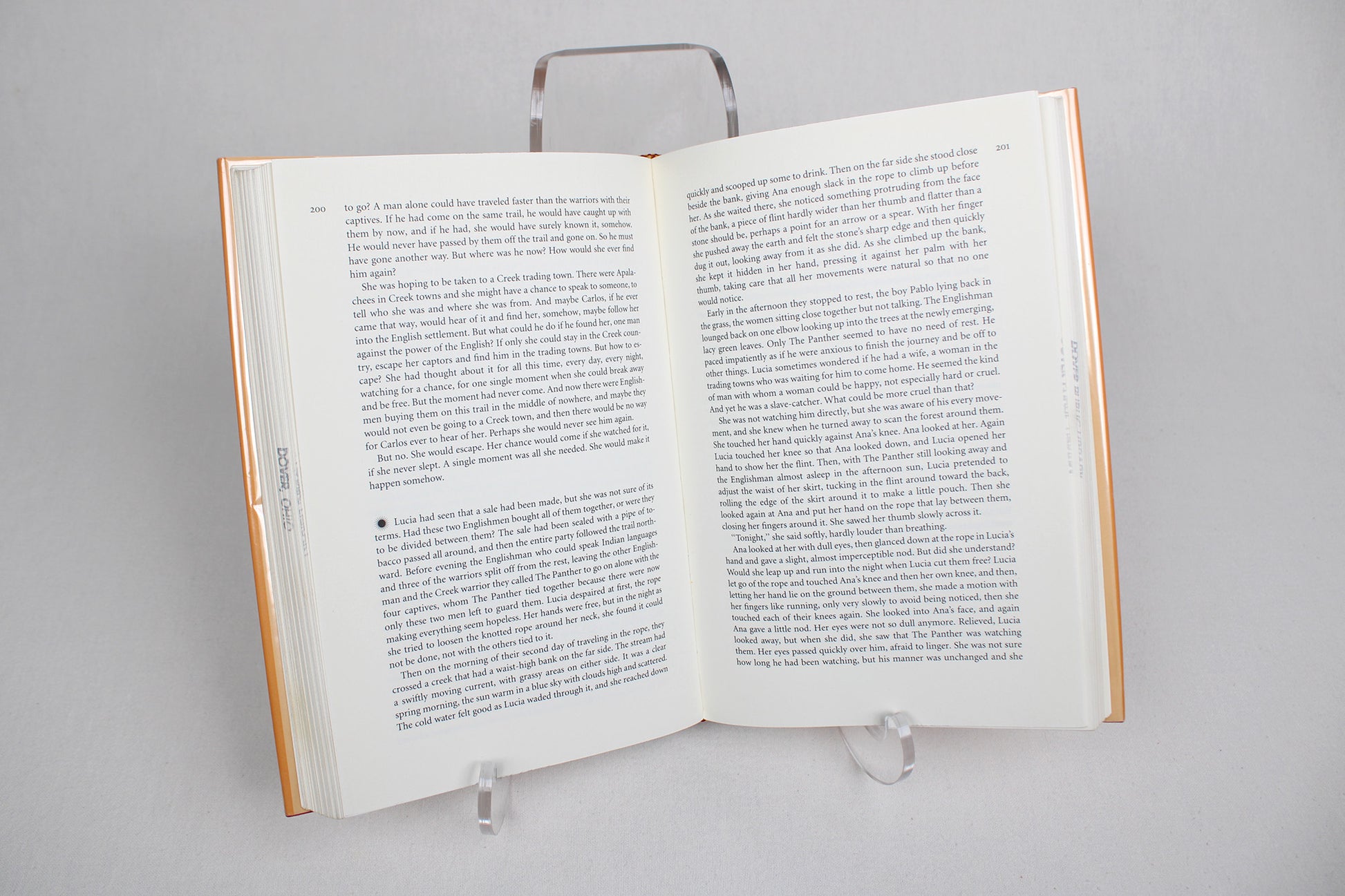 Apalachee, A Novel, by Joyce Rockwood Hudson