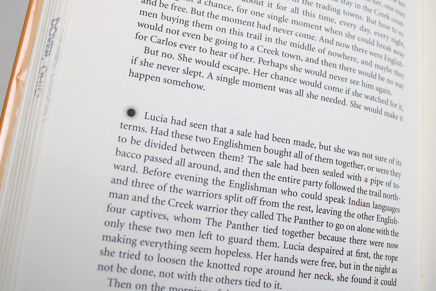 Apalachee, A Novel, by Joyce Rockwood Hudson