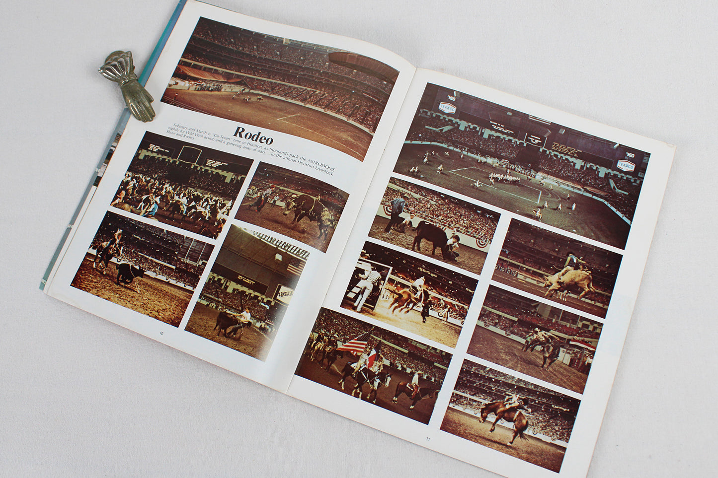 Astrodomain: The Astrodome