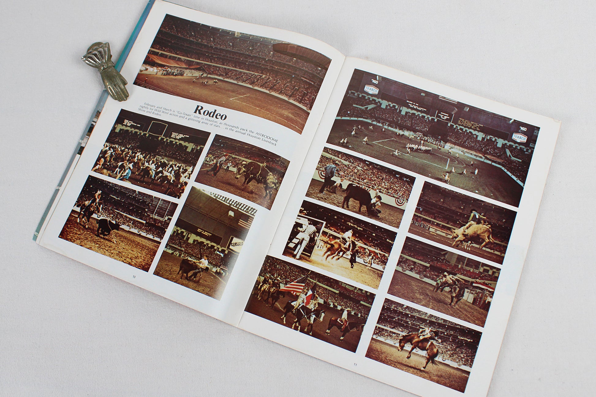 Astrodomain: The Astrodome