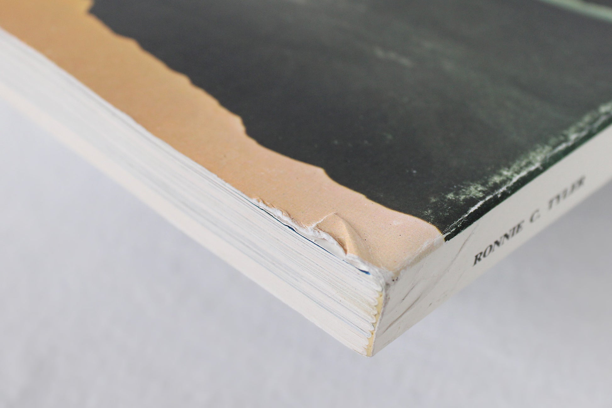 The Big Bend, A History of the Last Texas Frontier, by Ron Tyler