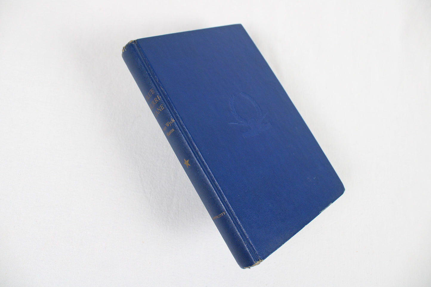 Blue Hurricane, by F. Van Wyck Mason