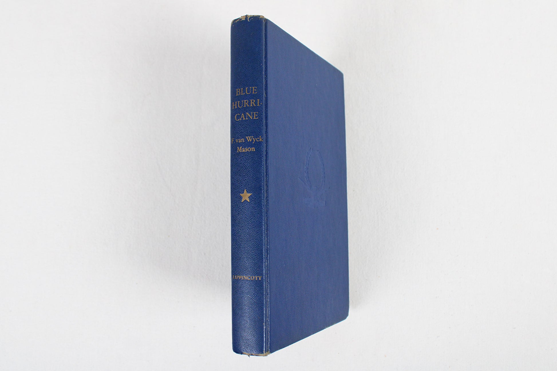 Blue Hurricane, by F. Van Wyck Mason