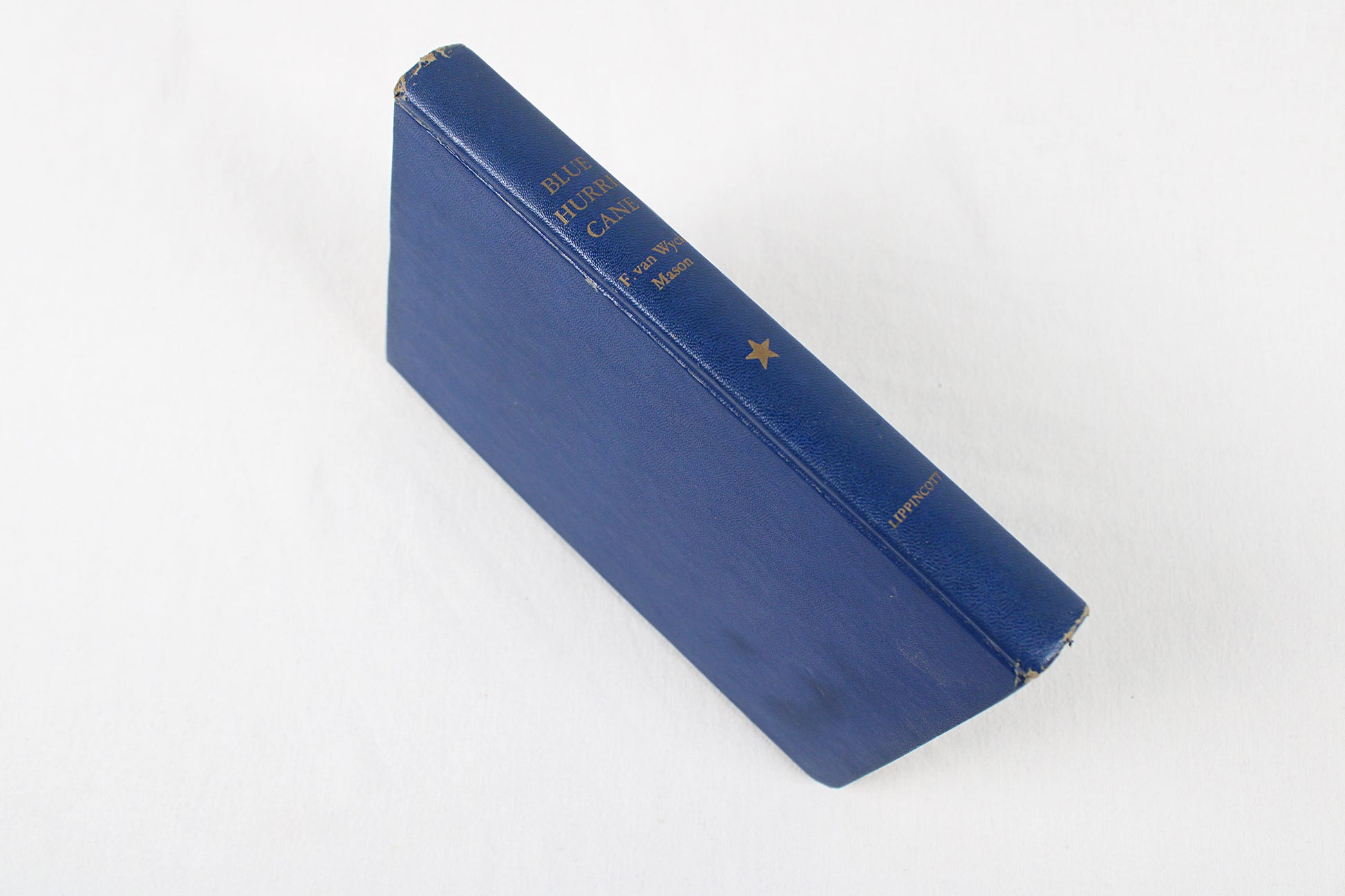 Blue Hurricane, by F. Van Wyck Mason