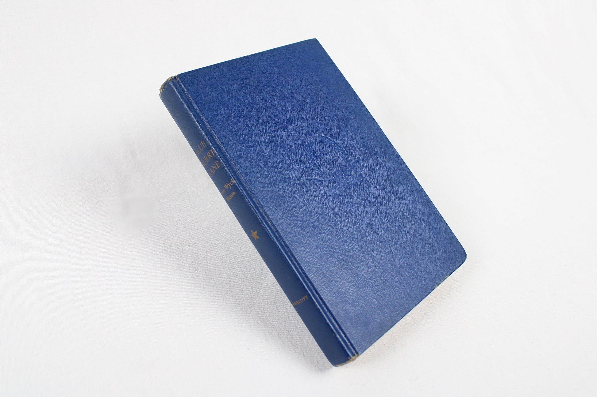 Blue Hurricane, by F. Van Wyck Mason