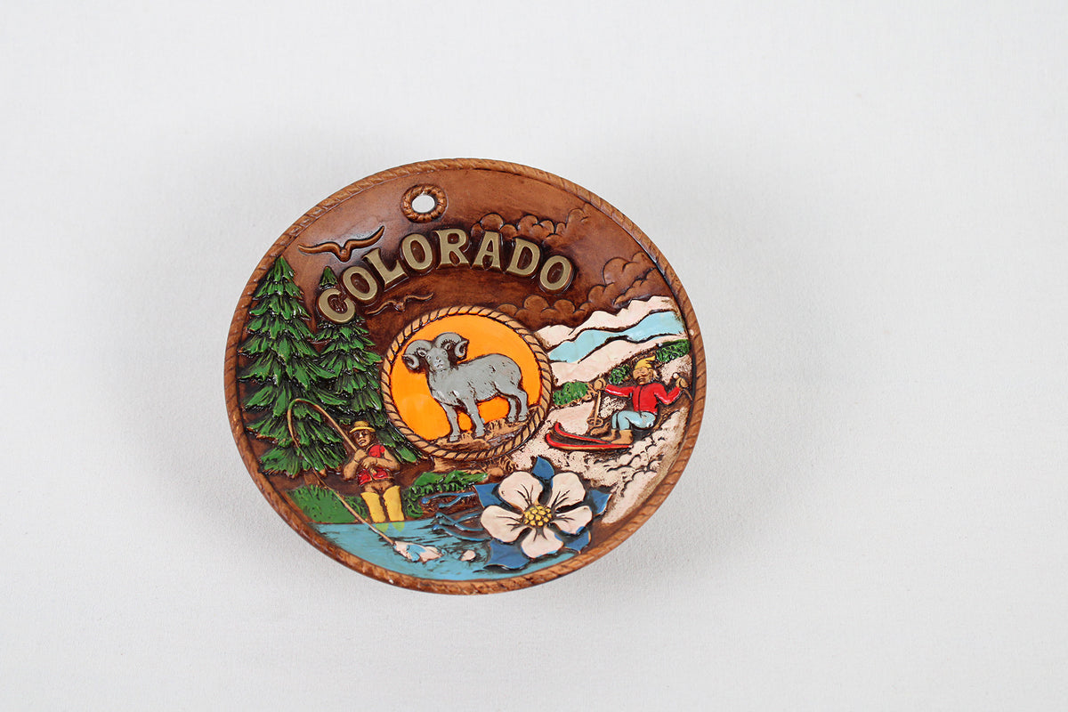 Colorado 3D Souvenir Hand Painted Wall Plate