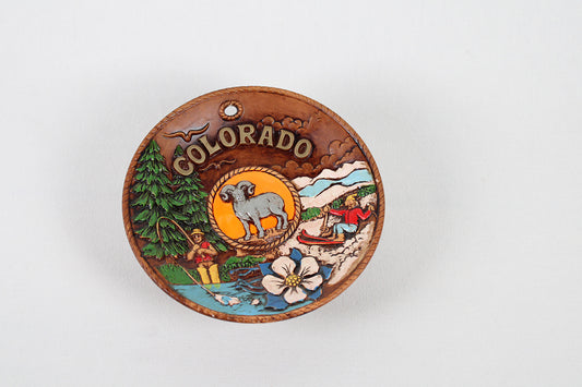 Colorado 3D Souvenir Hand Painted Wall Plate