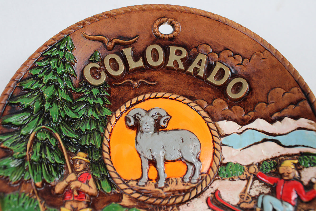 Colorado 3D Souvenir Hand Painted Wall Plate