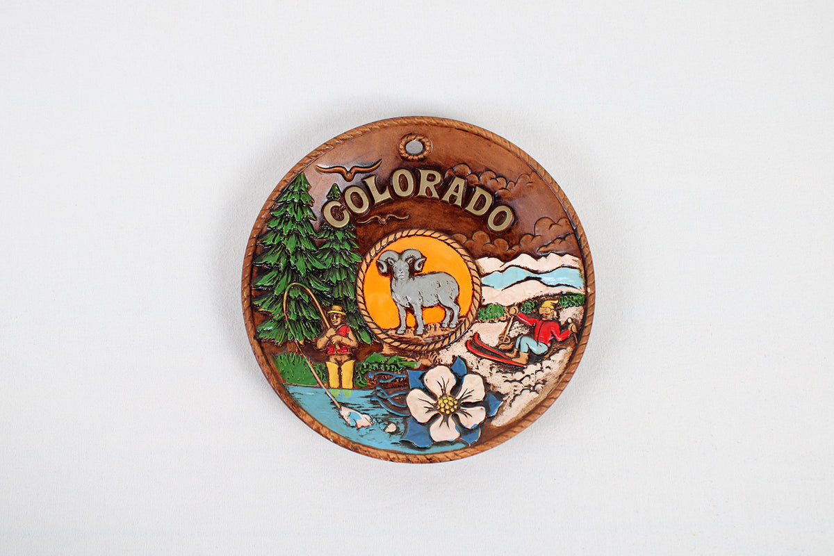 Colorado 3D Souvenir Hand Painted Wall Plate