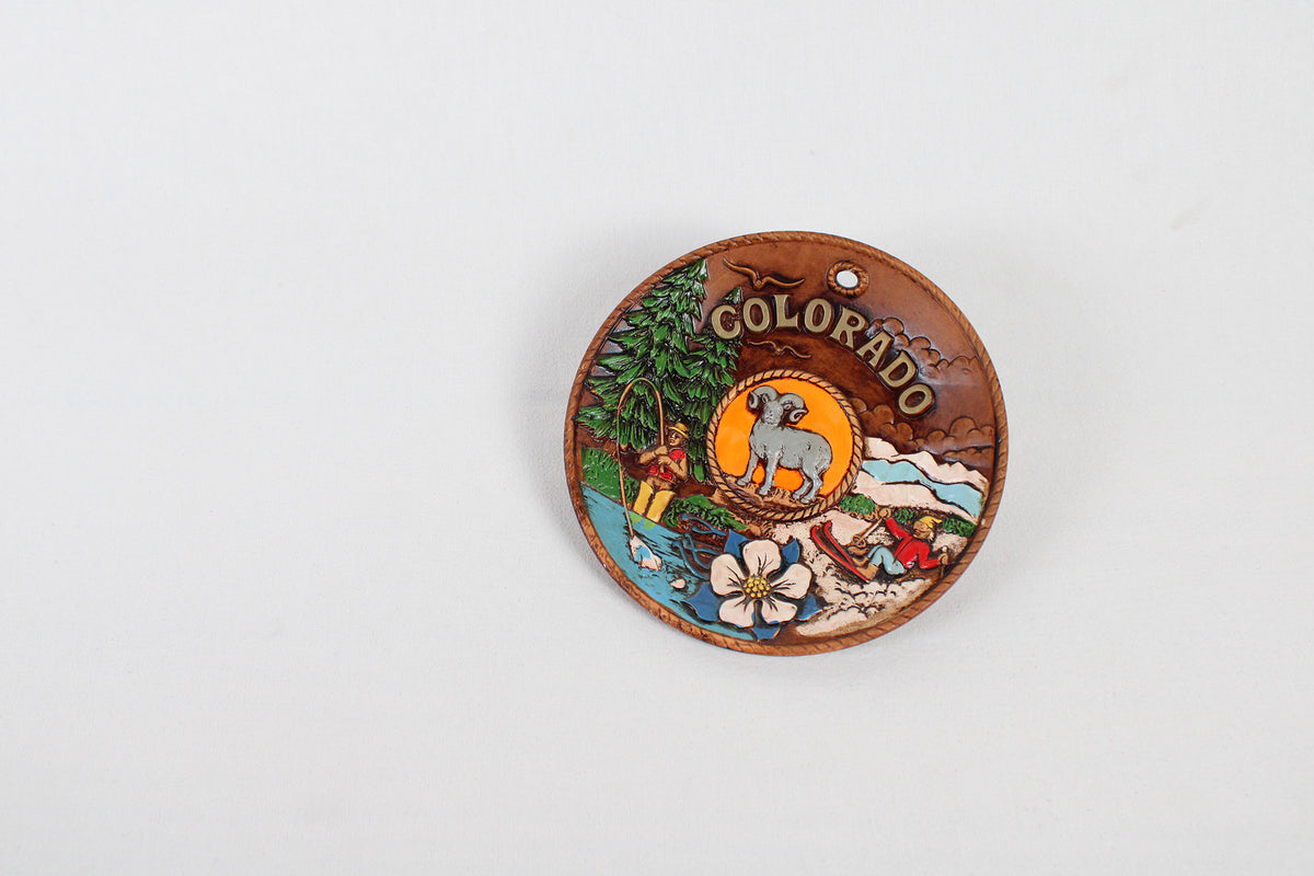 Colorado 3D Souvenir Hand Painted Wall Plate
