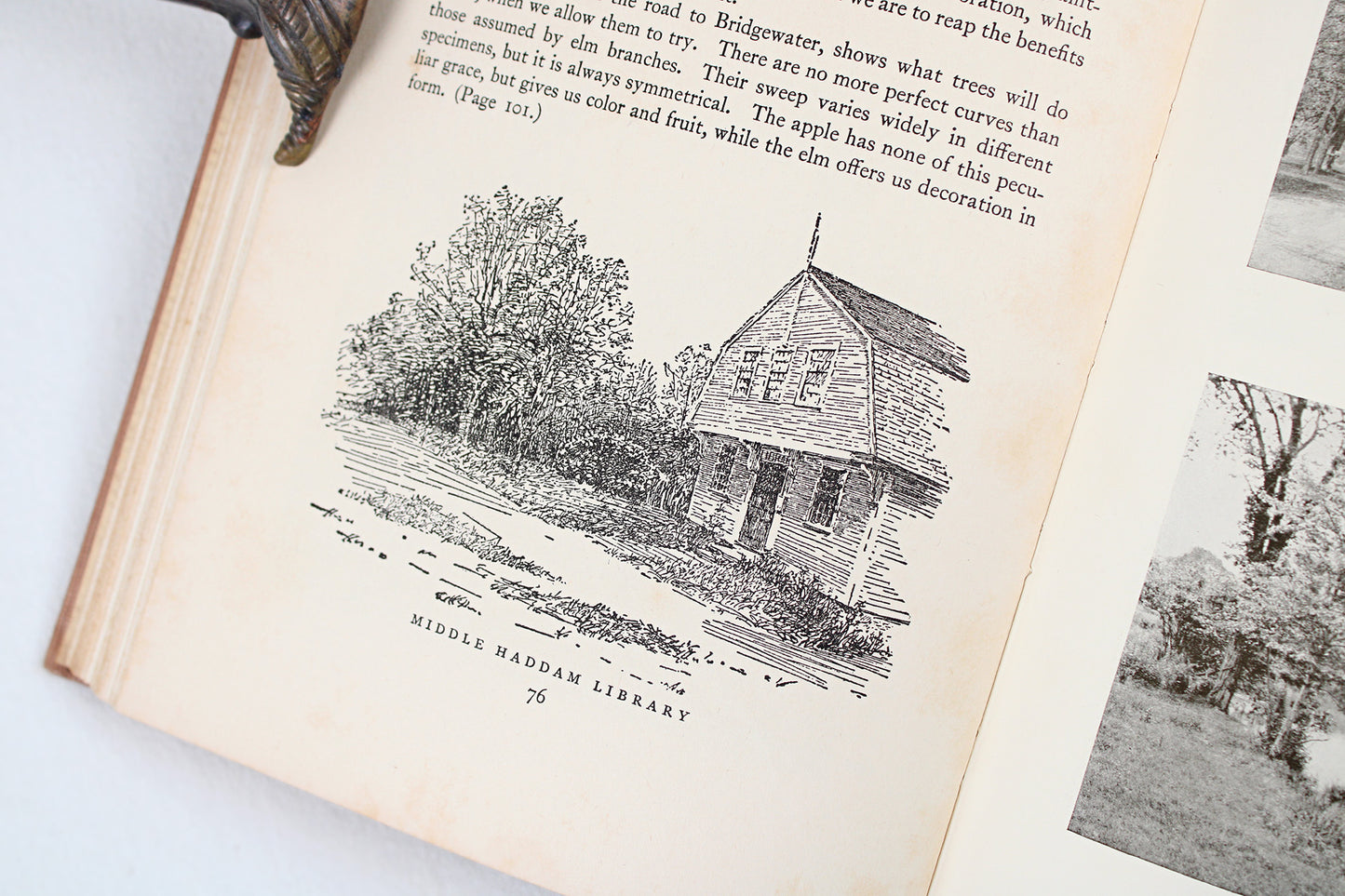 Connecticut Beautiful, by Wallace Nutting