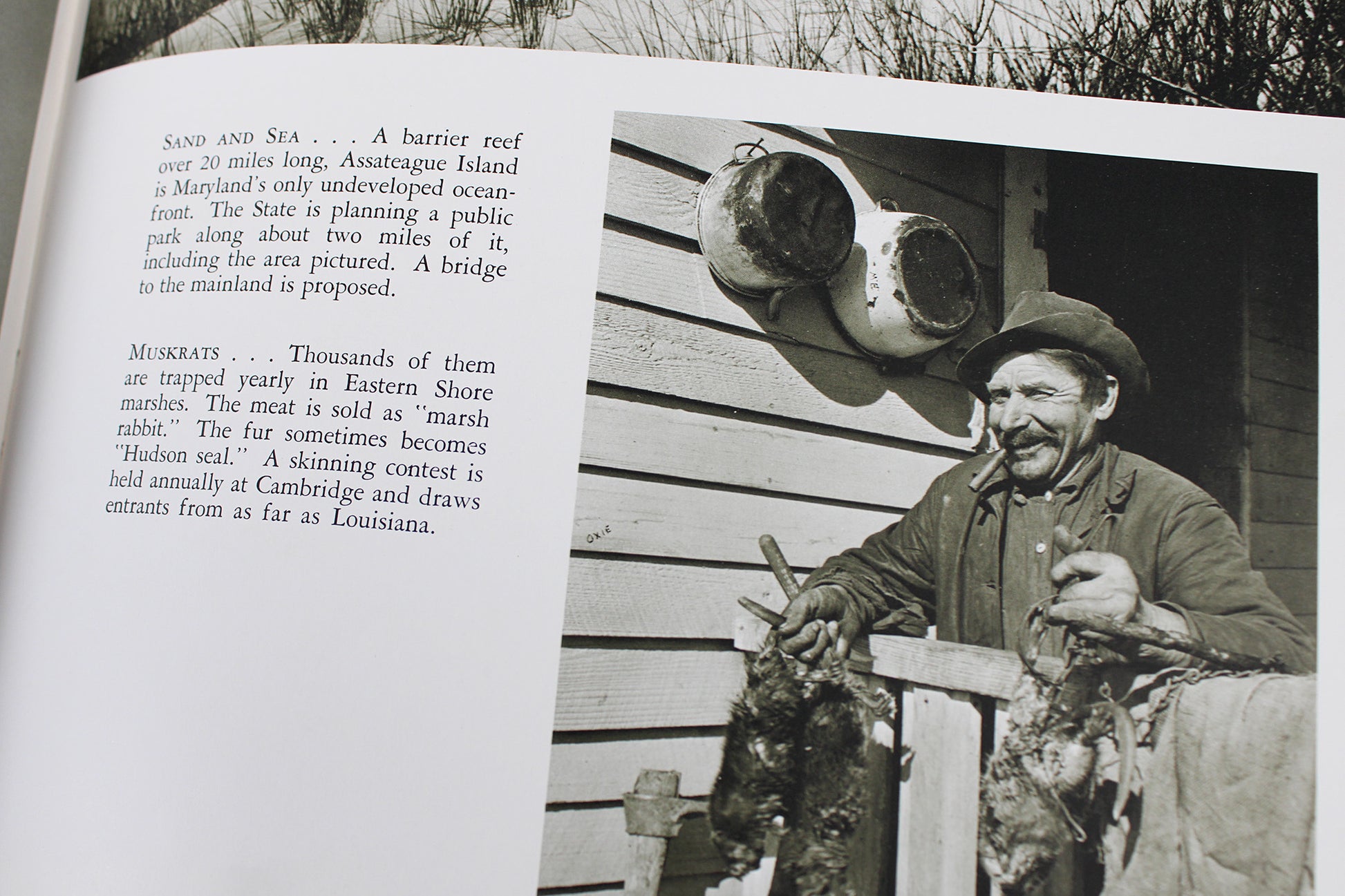 The Face of Maryland, by A. Aubrey Bodine
