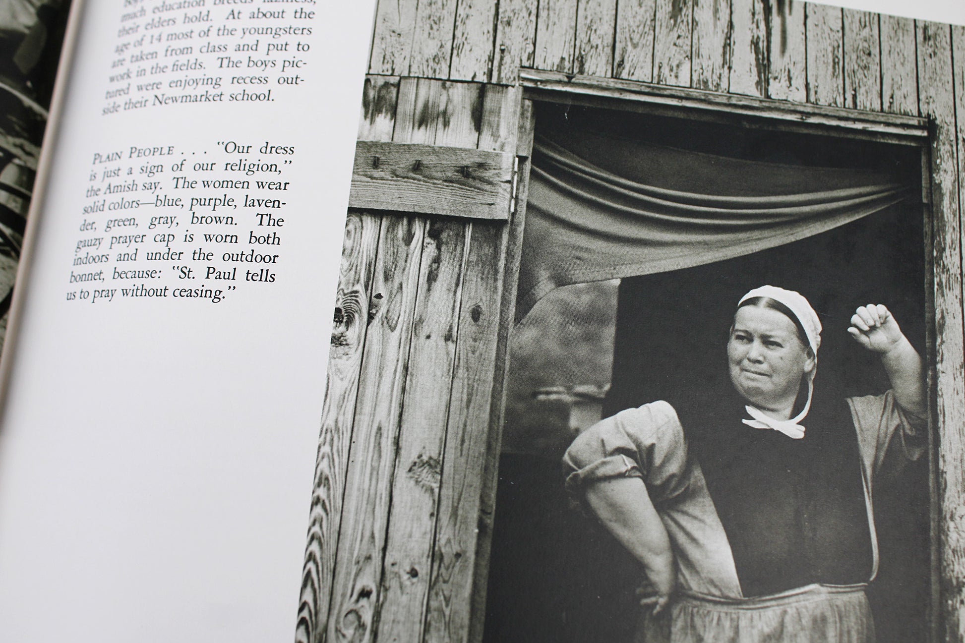 The Face of Maryland, by A. Aubrey Bodine