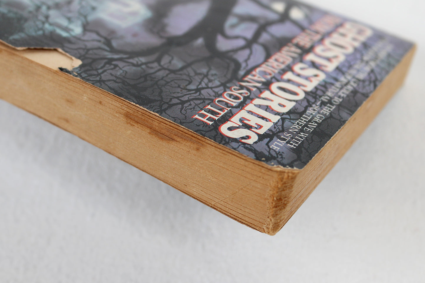 Ghost Stories of the American South