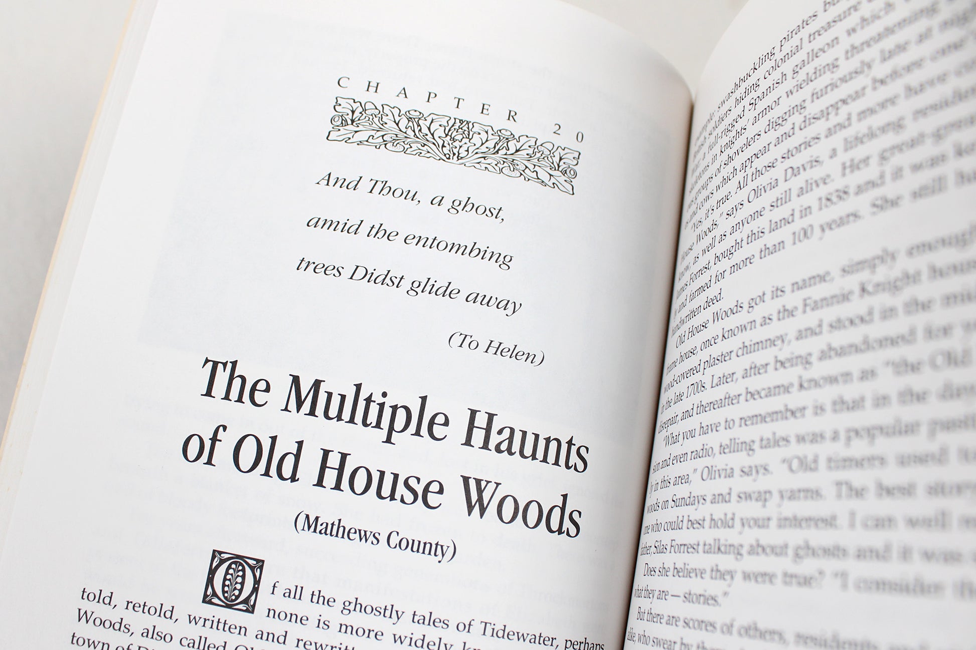 The Ghosts of Virginia, by L. B. Taylor