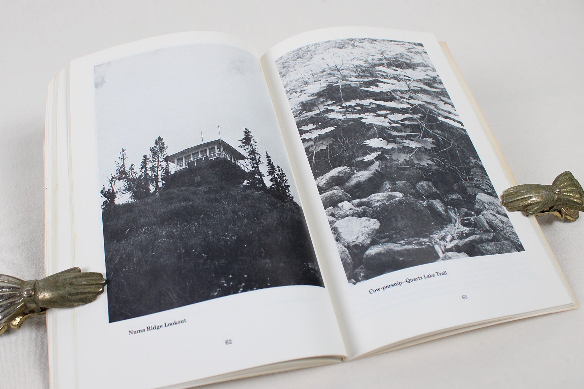 Hiker's Guide to Glacier National Park