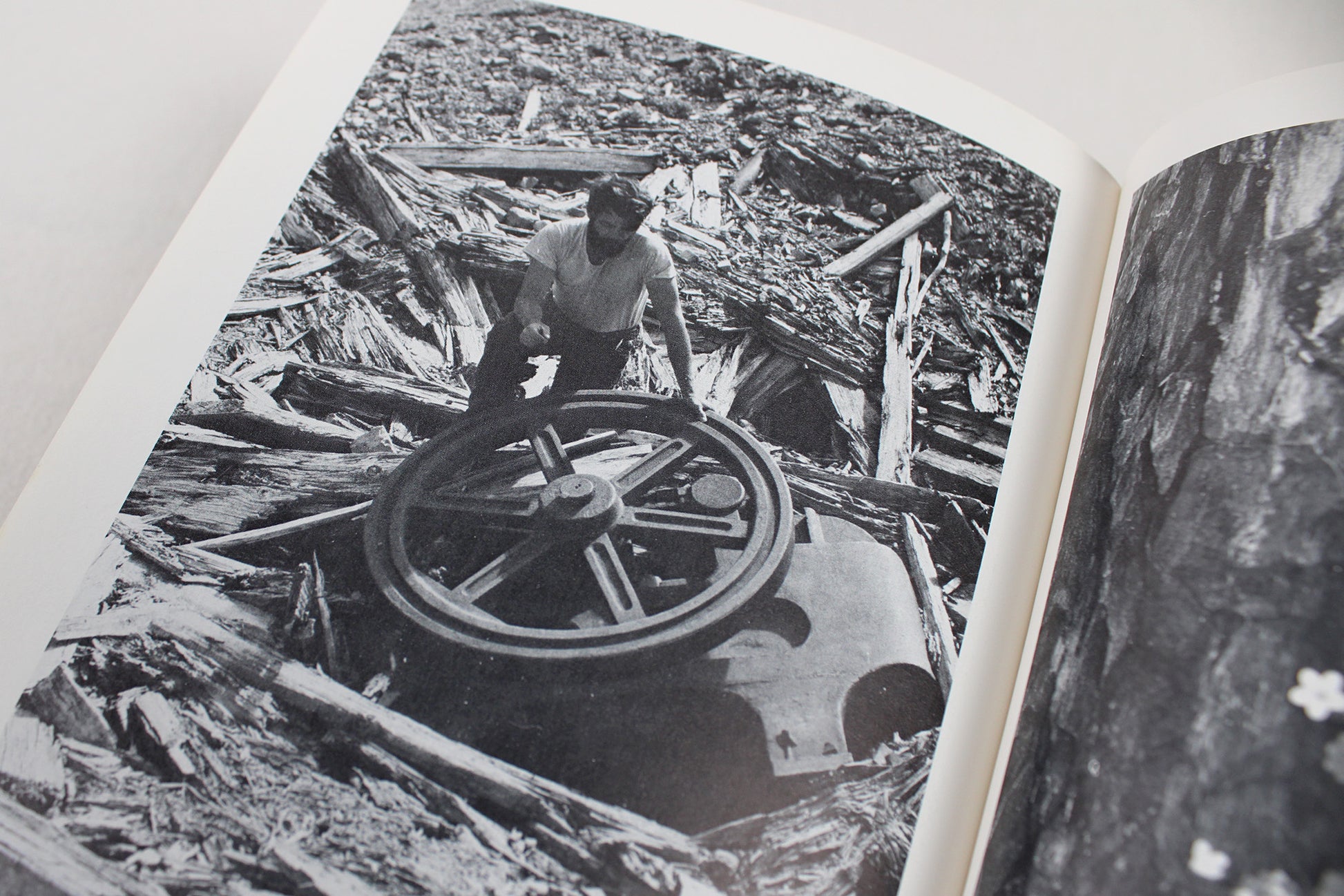 Hiker's Guide to Glacier National Park