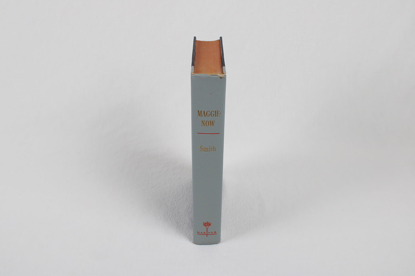 Maggie-Now, By Betty Smith