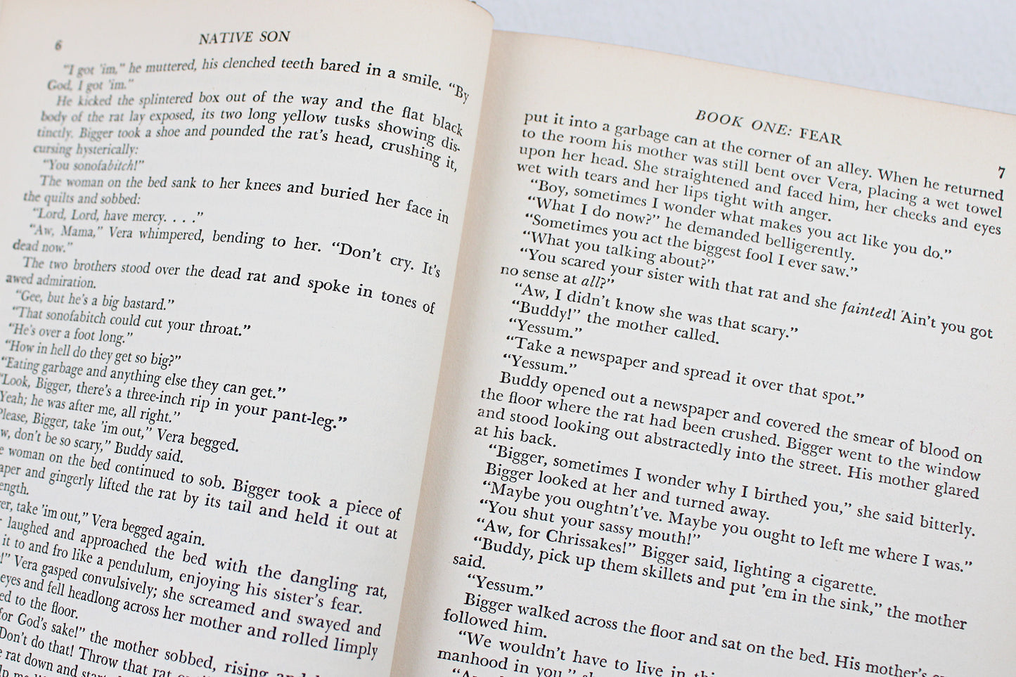 Native Son, by Richard Wright