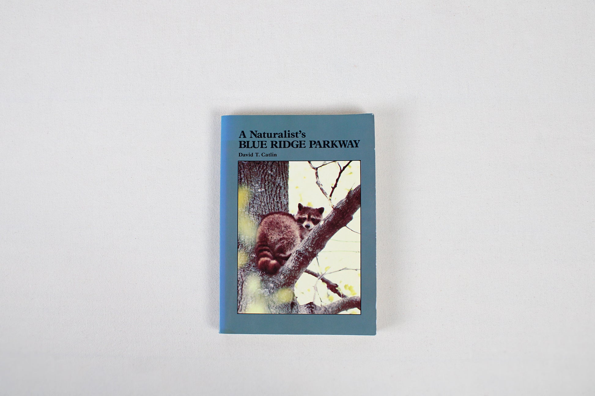 A Naturalist's Blue Ridge Parkway