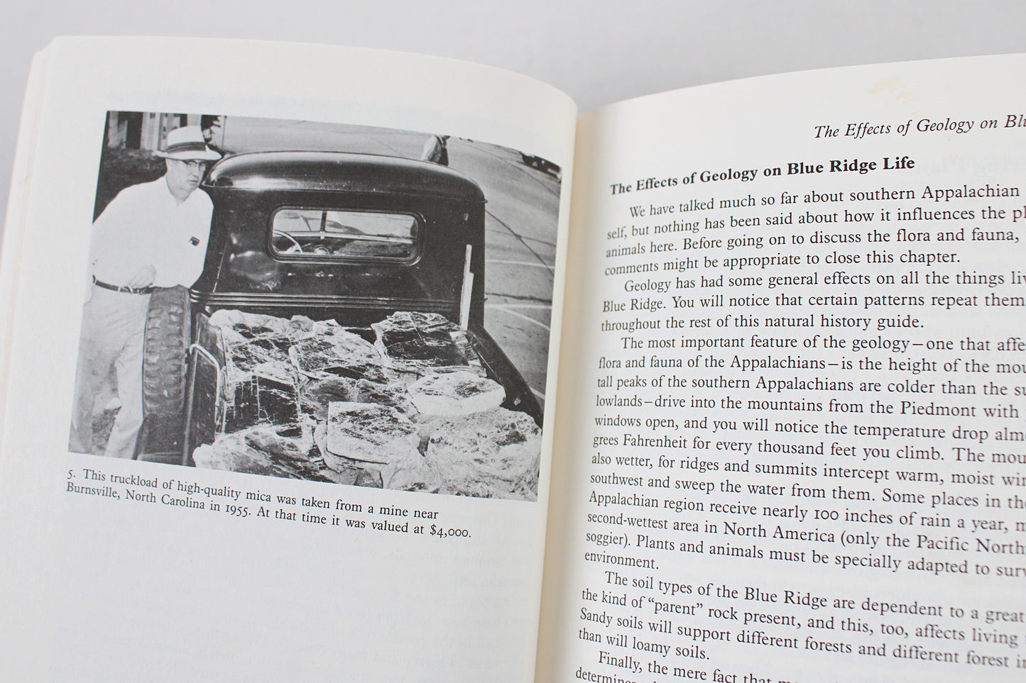 A Naturalist's Blue Ridge Parkway