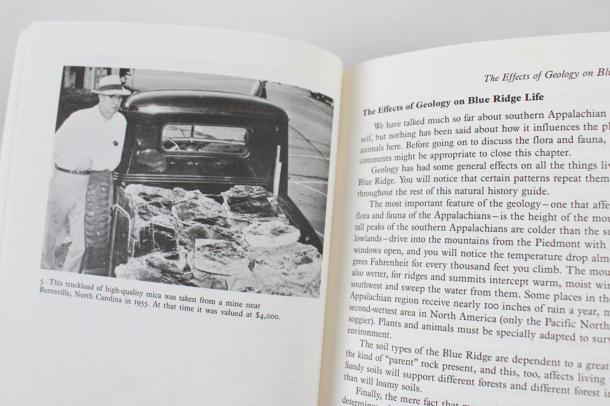 A Naturalist's Blue Ridge Parkway