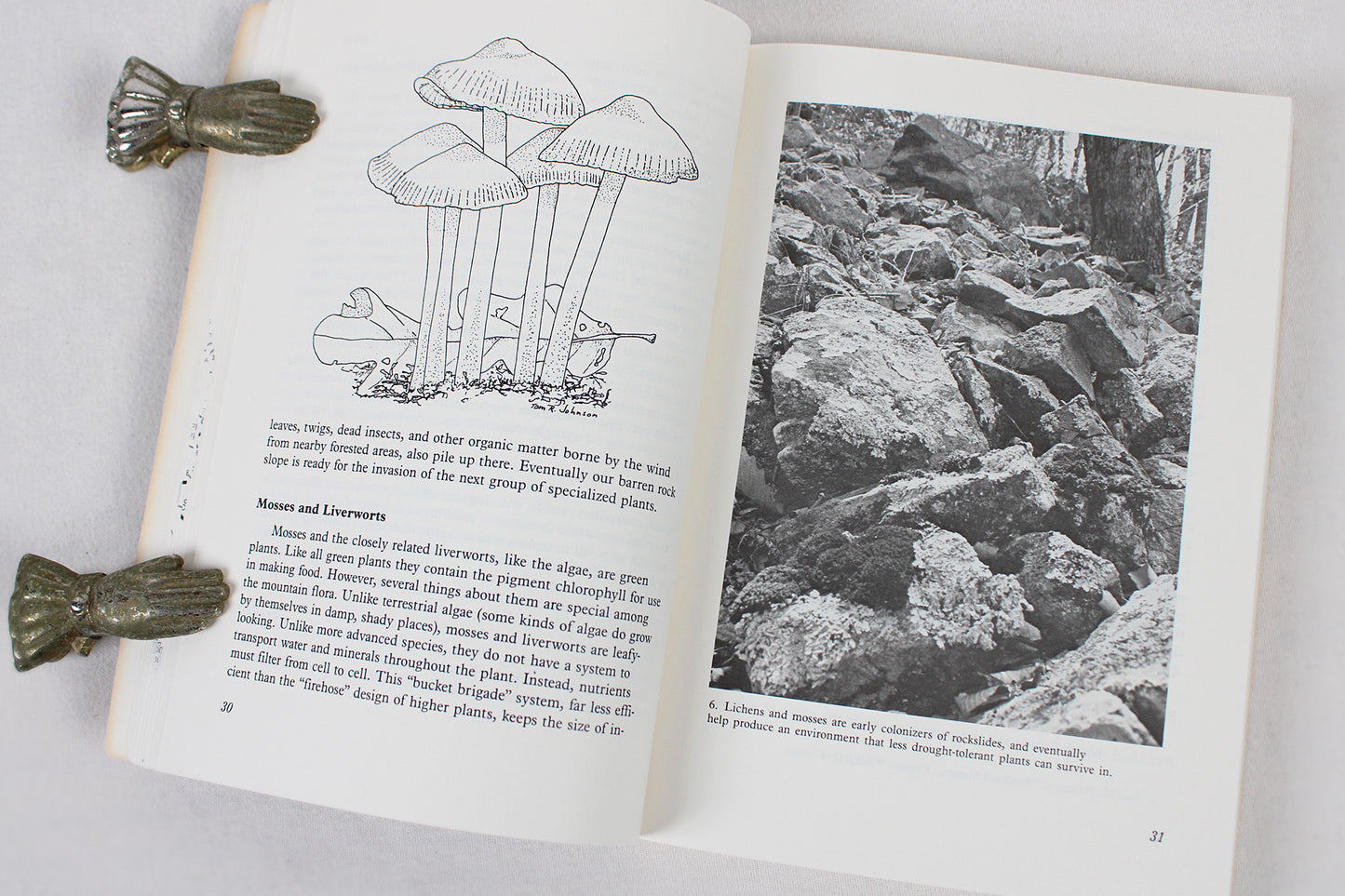 A Naturalist's Blue Ridge Parkway